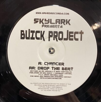 Maxi Skylark buick project "Drop the beat / Chancer" – Image 2